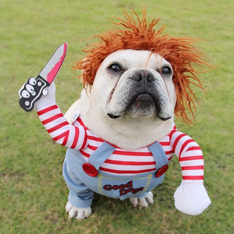 Spooky-Cute Halloween Dog Costume for Parties & Fun!
