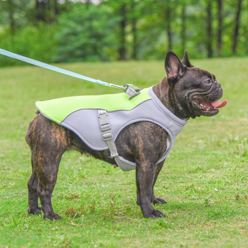 Cooling Dog Vest – Beat the Heat in Style Outdoors!