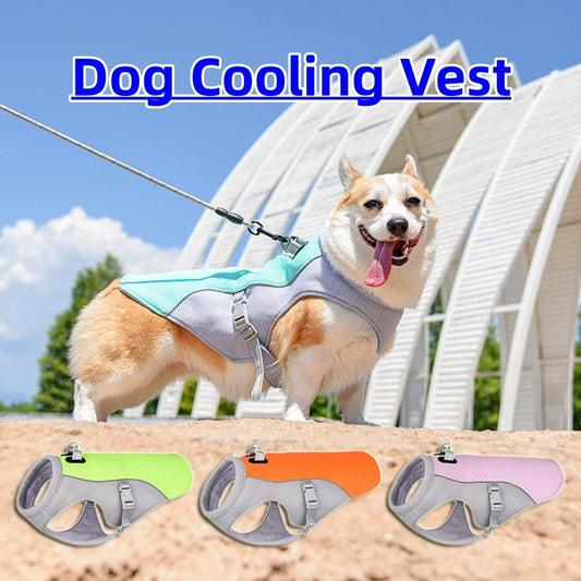 Cooling Dog Vest – Beat the Heat in Style Outdoors!
